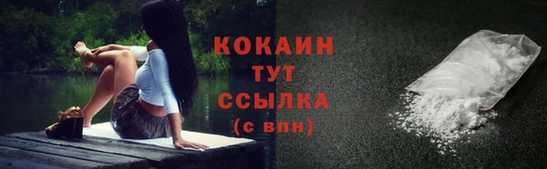 дмт Сатка