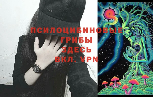 тгк Балахна